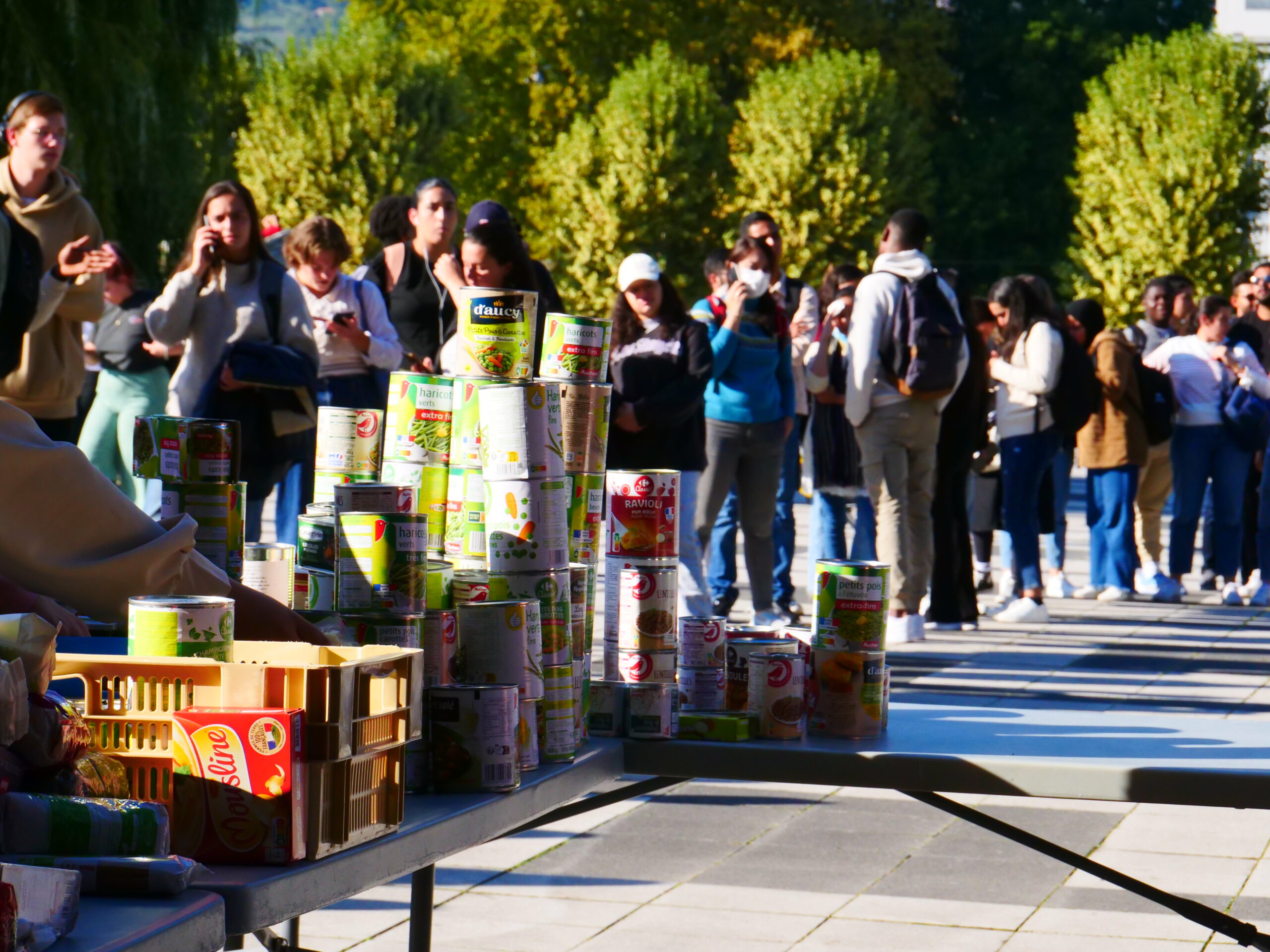 distribution alimentaire